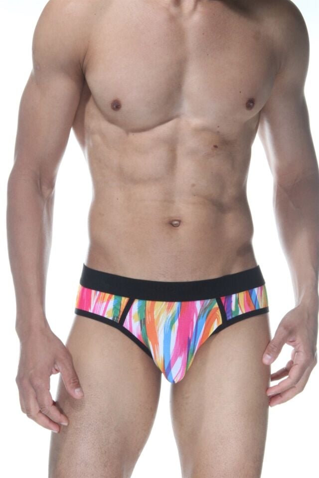 Erkek Renkli Fırça Desenli Jockstrap Fantezi İç Çamaşırı