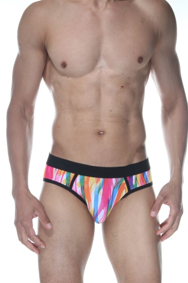 Erkek Renkli Fırça Desenli Jockstrap Fantezi İç Çamaşırı