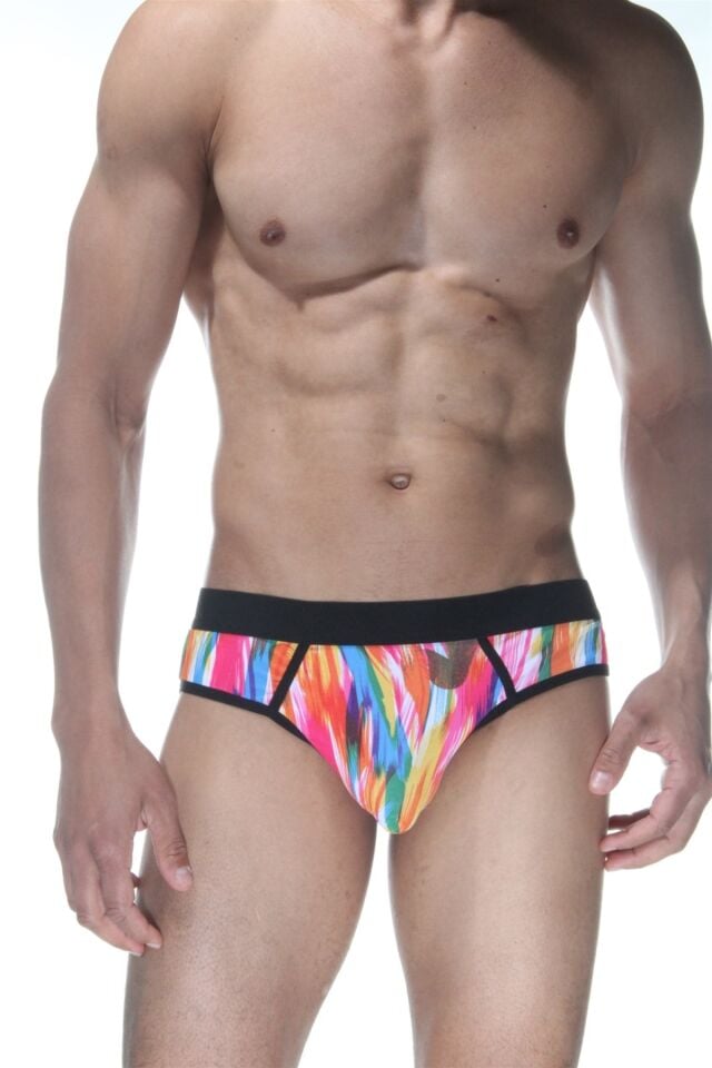 Erkek Renkli Fırça Desenli Jockstrap Fantezi İç Çamaşırı
