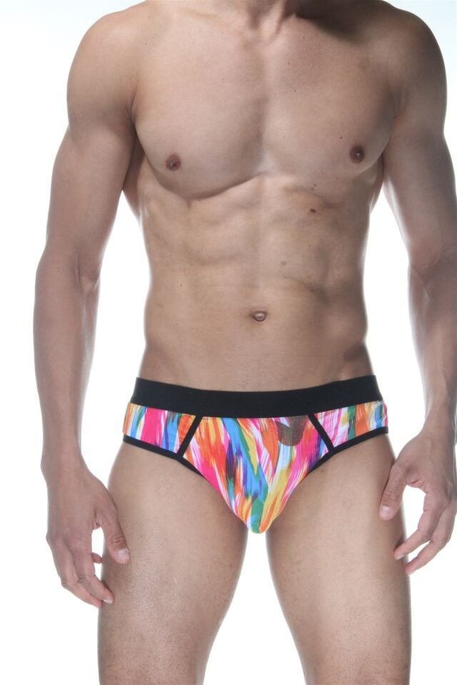 Erkek Renkli Fırça Desenli Jockstrap Fantezi İç Çamaşırı