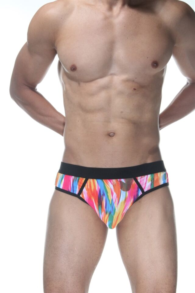 Erkek Renkli Fırça Desenli Jockstrap Fantezi İç Çamaşırı